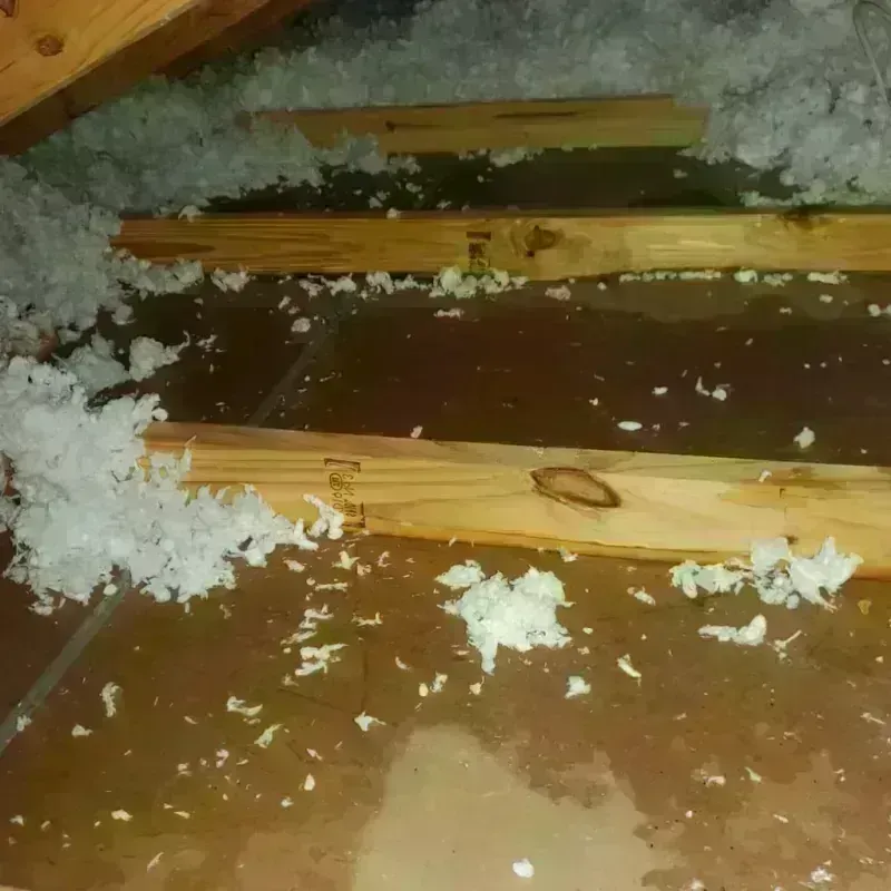 Attic Water Damage in Makaha Valley, HI